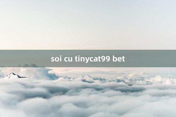 soi cu tinycat99 bet