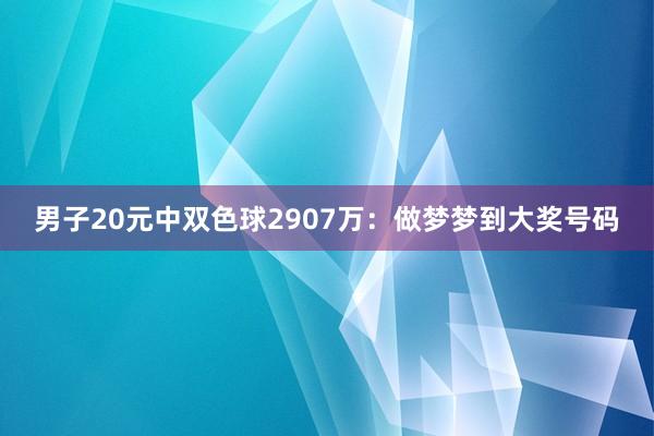 男子20元中双色球2907万：做梦梦到大奖号码