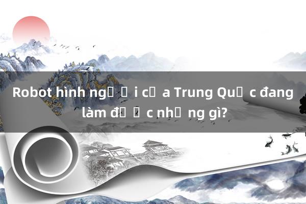 Robot hình người của Trung Quốc đang làm được những gì?