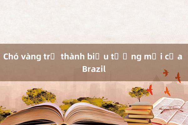 Chó vàng trở thành biểu tượng mới của Brazil