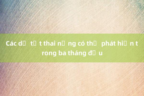 Các dị tật thai nặng có thể phát hiện trong ba tháng đầu