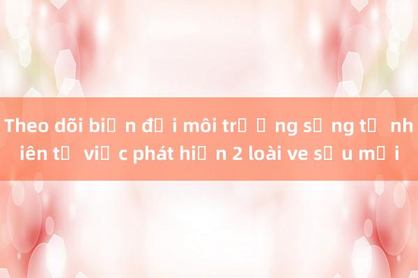 Theo dõi biến đổi môi trường sống tự nhiên từ việc phát hiện 2 loài ve sầu mới