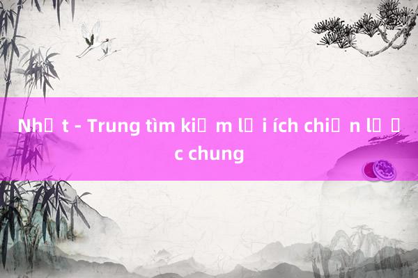 Nhật - Trung tìm kiếm lợi ích chiến lược chung